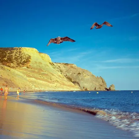 Casas Da Calheta In Da Апартаменты Praia Da Luz